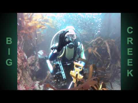 BIO75 - Scientific Diving / The Meter Tape