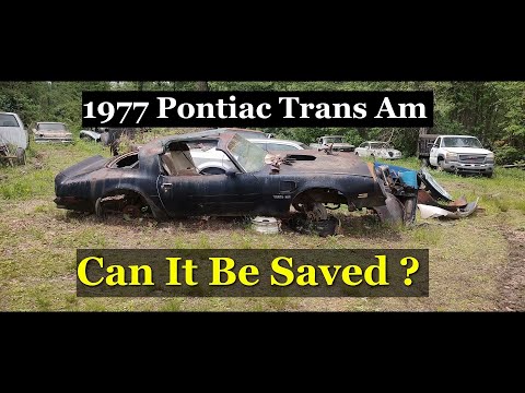 1977 Pontiac Trans Am abandoned and saved from the crusher.