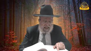 דף היומי בחצי שעה - יבמות  דף  נ"ח