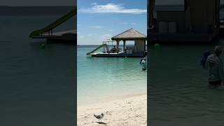 CocoCay Choices: Overwater Cabana, Daybed, or Free Chairs? / Royal Caribbean Perfect Day