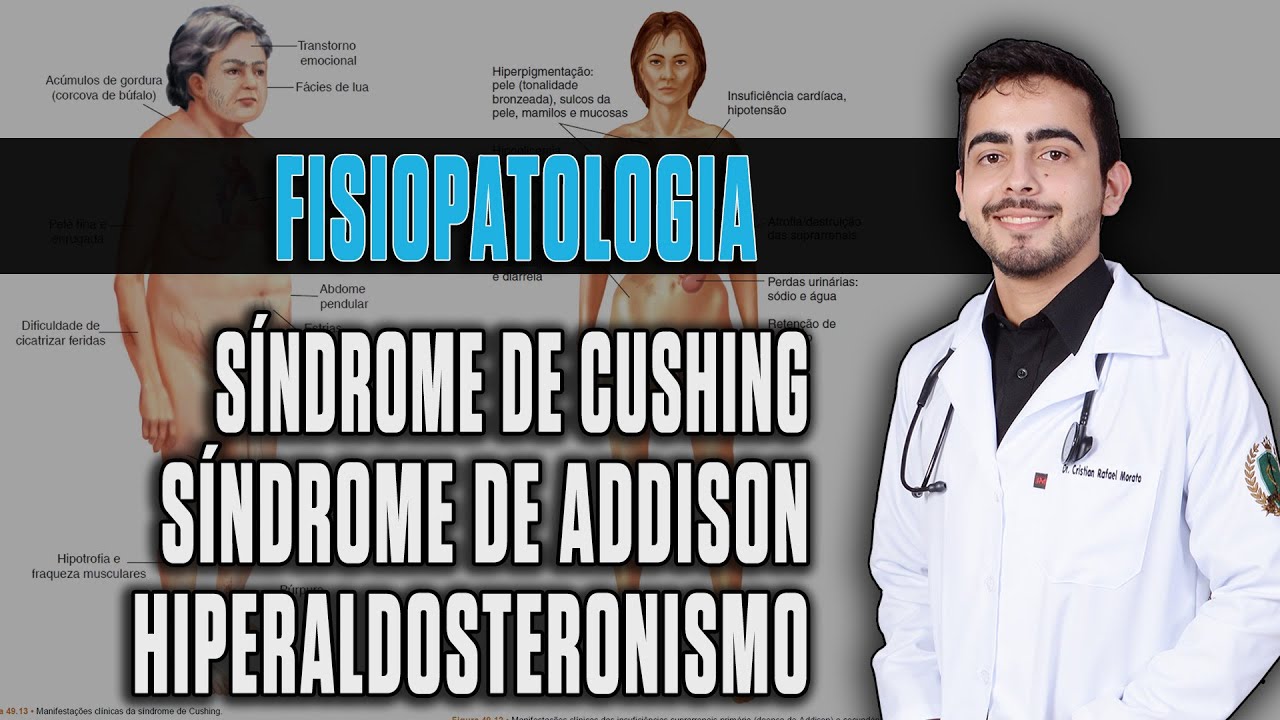 Patologias da Glândula Adrenal/Suprarrenal │ Fisiopatologia PARTE 2/2