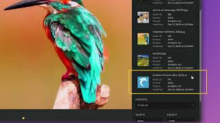 evolphin Zoom YouTube Video