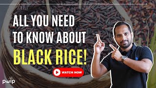 Is it possible to export black rice? | यहाँ जानिए  | PWIP