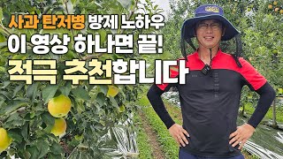 사과 탄저병 방제 영상 하나로 완전정복! 역대급 장마 폭염에도 방제하는 법