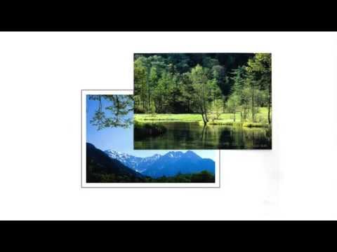 Epson Premium Glossy Photo Paper | Premium Glossy Photo Paper | 255 g/m² | 100 x 150 mm | 10x15 video