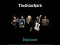 Into the Fold- The Duke Spirit