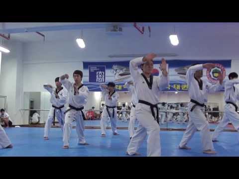 Chosun taekwondo demonstration class