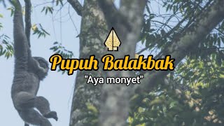 Download lagu PUPUH BALAKBAK | LIRIK mp3