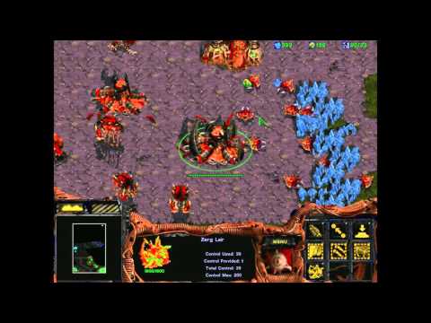 Starcraft 1: Retribution - Zerg 02 - Ascension