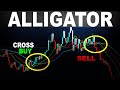 The Good way to use Williams Alligator Indicator ? - Forex Day Trading