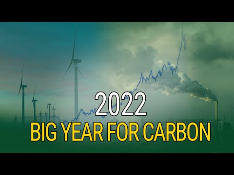 Cash equivalents consulting firm approved carbon credit (acc...