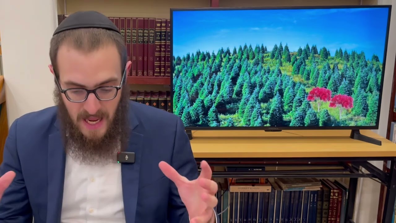 Rambam Hilchos Bikkurim Chapter 4 • Rabbi Yossi Lipskier