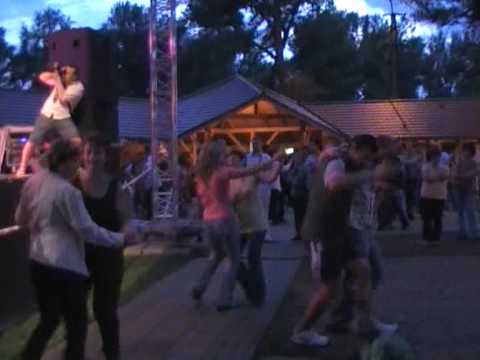 Macejko, Anča rapavá - Senzus