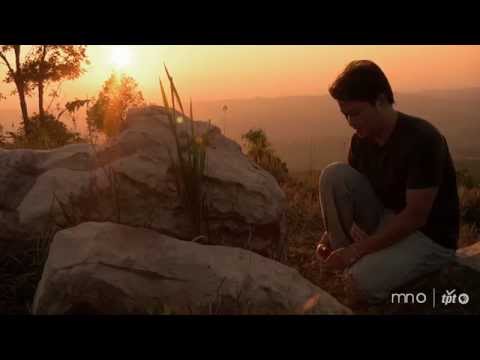 Journey To The Fallen Skies