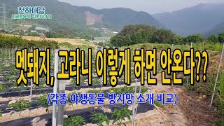 멧돼지 고라니 야생동물 퇴치 방지망 이렇게 설치하면 최고!! 각종 방지망 비교