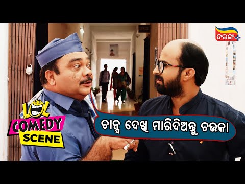 ମୋର ଏଇଠି ଲାଗି ଗଲାଣି Bala The Rhythm of Life Comedy Scene Tarang Plus