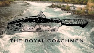 The Royal Coachmen