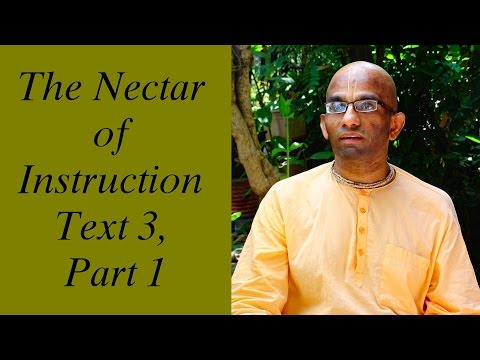 Bhakti Shastri (029) - The Nectar of Instruction Text 3, Part 1
