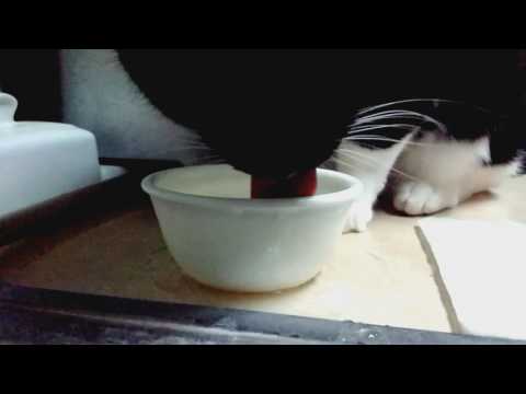 Thirsty Tina 2 Bowl Patrol