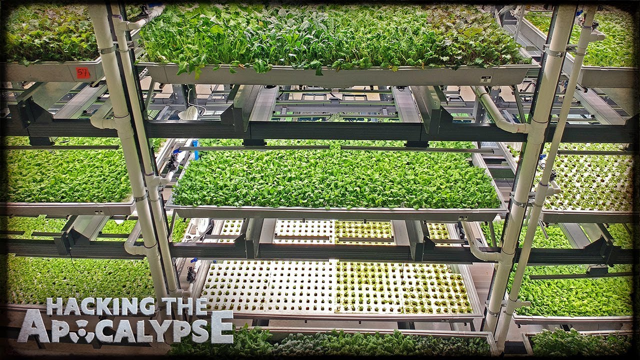 Robots Run This Farm (and Save 95% of the Water)