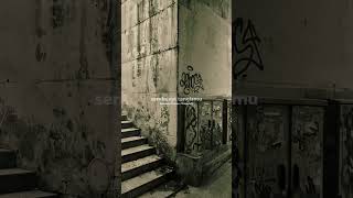 Download lagu Berharap Mampu - THREESIXTY #threesixty #punk #skatepunk #poppunk #punkrock #liriklagu #storywa mp3