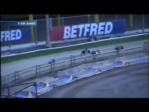 2018 BGBF Puppy Cup Heat 4 - Lostrigg Zeus