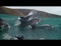 Oceans Our Blue Planet Trailer