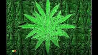 Pati - Kiss And Say Goodbye [Reggae cover]