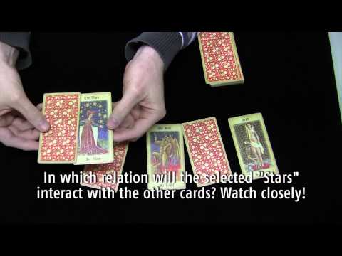 Card-Shark – Medieval Tarol Gone Wild by Card-Shark