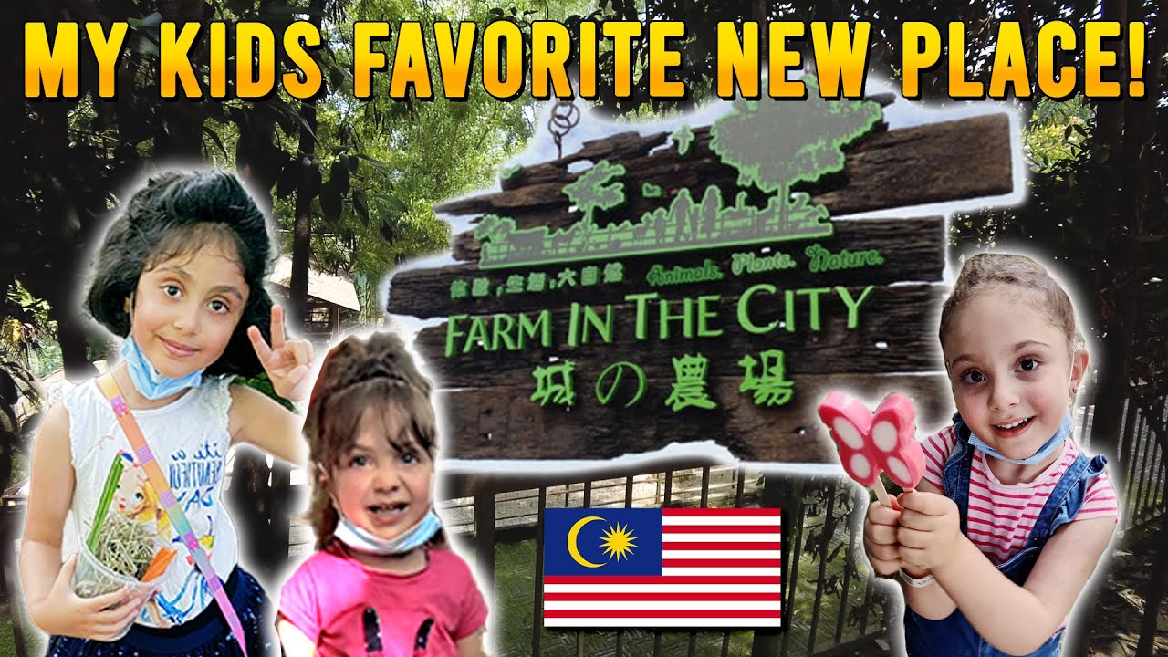 Join a family as they explore the wonders of Farm In The City in this captivating video.
