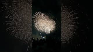 쇼츠6❤️2026 다낭 불꽃축제🔥 #DaNang #Fireworks Festival #travel