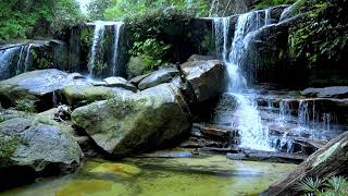 Download lagu ASMR DIJAMIN RELAX & SEJUK 30 MENIT RELAKSASI AIR TERJUN DAN KICAU BURUNG NATURAL SOUND mp3