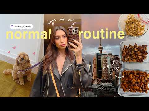 days in my very normal life | back to routine, meal prep, lash lift & working out again...