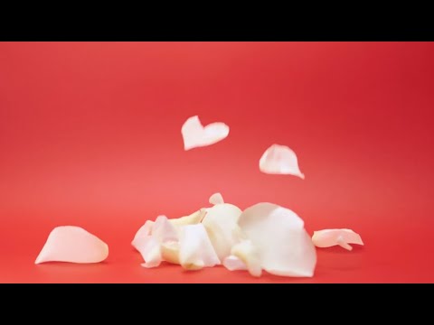 SOMEWHERE by Maria Bozzini - May 2021 😿