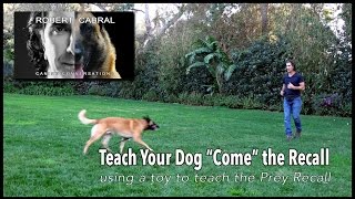 Teach Your Dog to COME — The Recall
