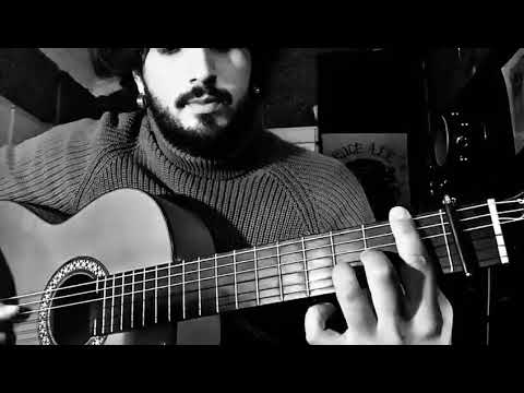 Promotional video thumbnail 4 for Savannah Fuentes Flamenco