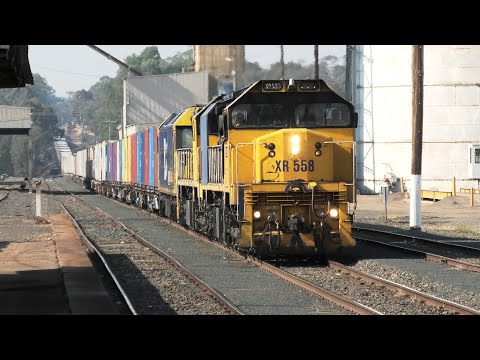 XR558-X50-BL33 with a well loaded 7901V plod thru Dunolly.   20-03-21.