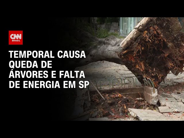 No dia seguinte ao temporal, cerca de 1,3 mil moradores ficam sem energia  elétrica em Itapira, Campinas e Região