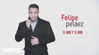 Felipe Peláez, Zabaleta - Te Amo y Te Amo (Cover Audio)