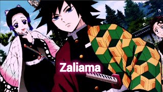 Zalima💗😍(amv)shinobu giyuu