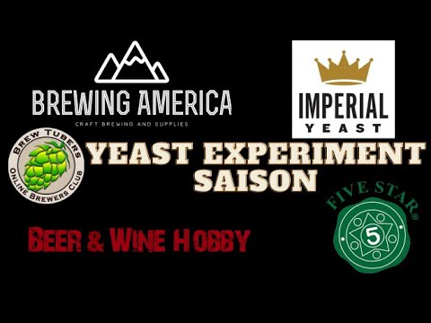 Brewtubers Yeast Experiment - Saison - Wrecked Brewing