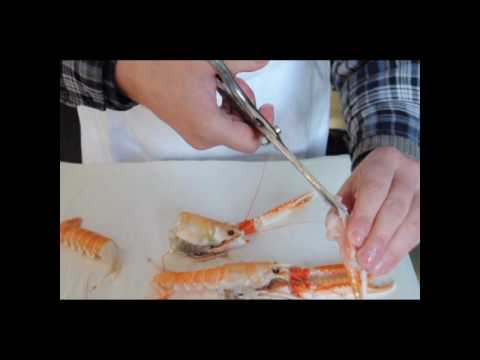 Scampi, Kaisergranate oder Langostinos zerlegen - How to clean scampi