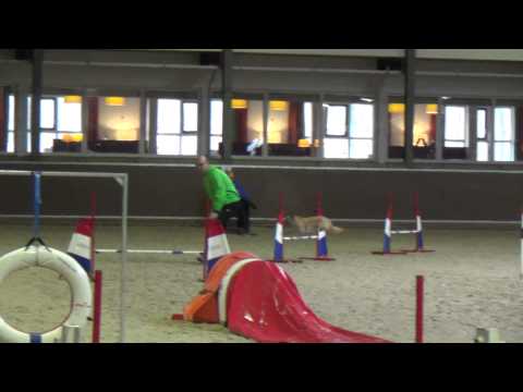 A wedstrijd Assen 2015 BCCN Rob en Nancy 1e plaats