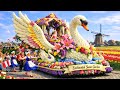 Netherlands Flower Parade 2026 World S Most Beautiful Spring Festival