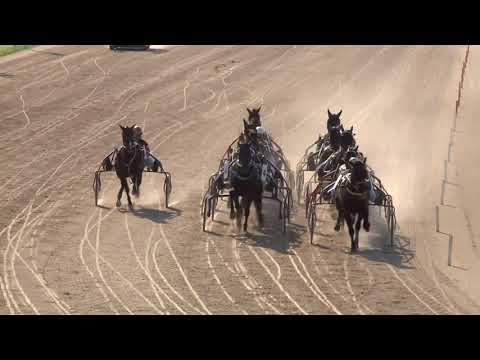 2020.06.27. 09. futam - BUTTERFLY DÍJ