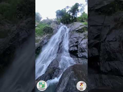 SEGUNDA VALIDA DE CICLOMONTAÑISMO - CASABIANCA TOLIMA