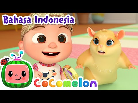 Hamster Yang Hilang | CoComelon Bahasa Indonesia - Lagu Anak Anak | Nursery Rhymes