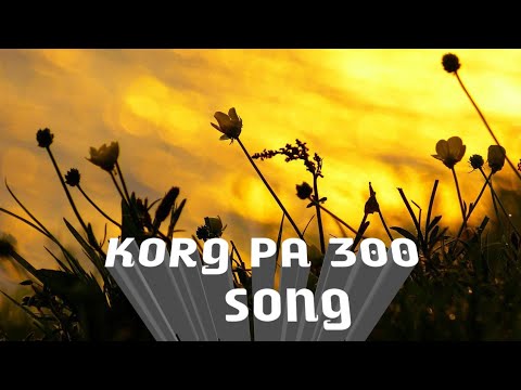 Korg pa 300 intor style