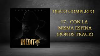 Con La Misma Espina (Bonus Track) Lyrics English Translation