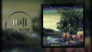 Fleetwood Mac Caroline 432hz